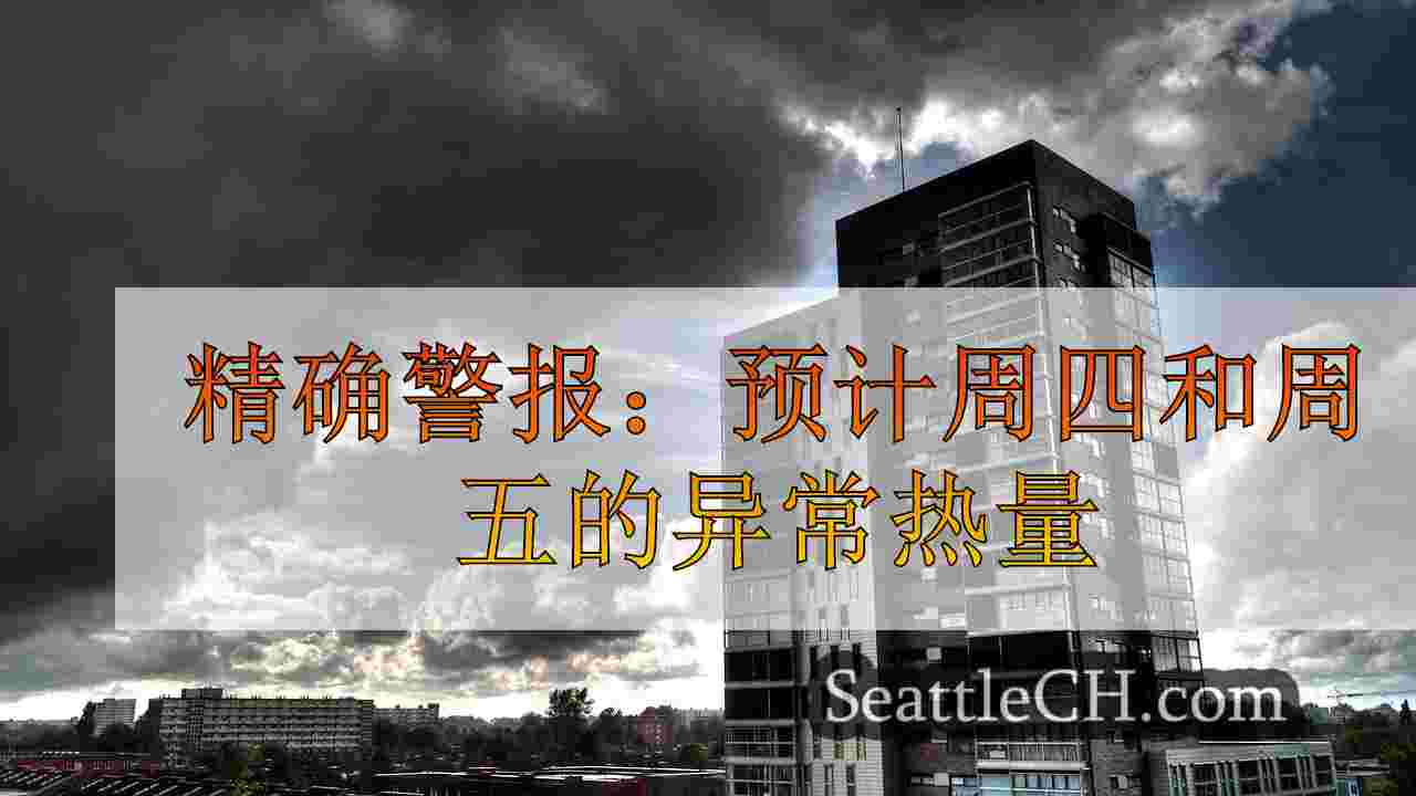西雅图新闻 SeattleCH