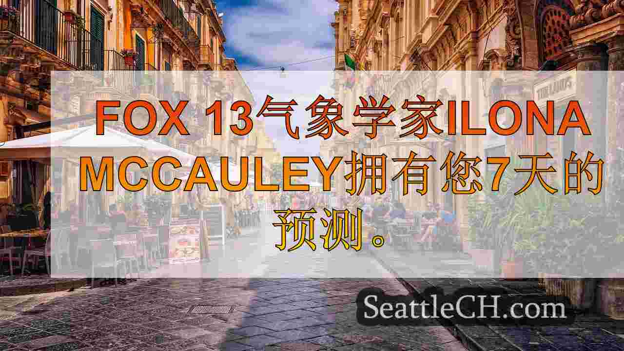 西雅图新闻 SeattleCH