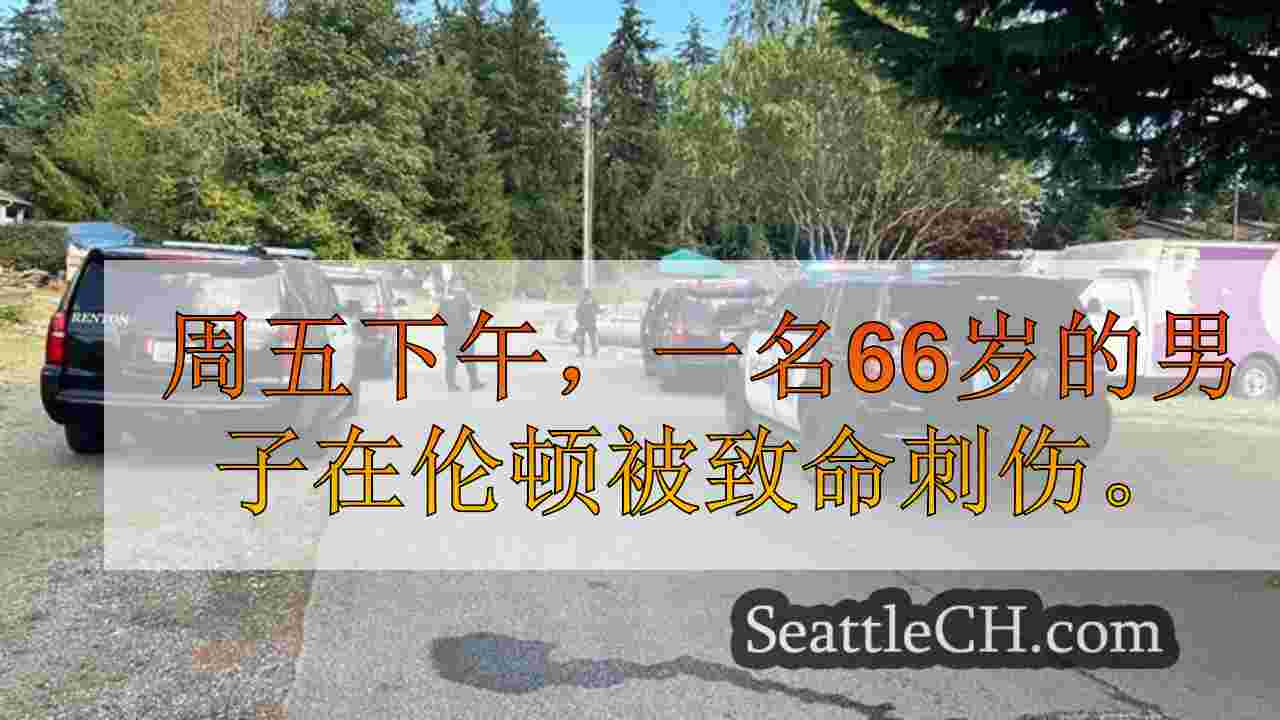 19岁在伦顿刺死杂工