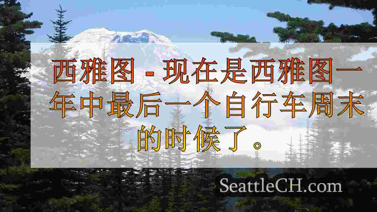 西雅图湖华盛顿大道上的自行车周末。