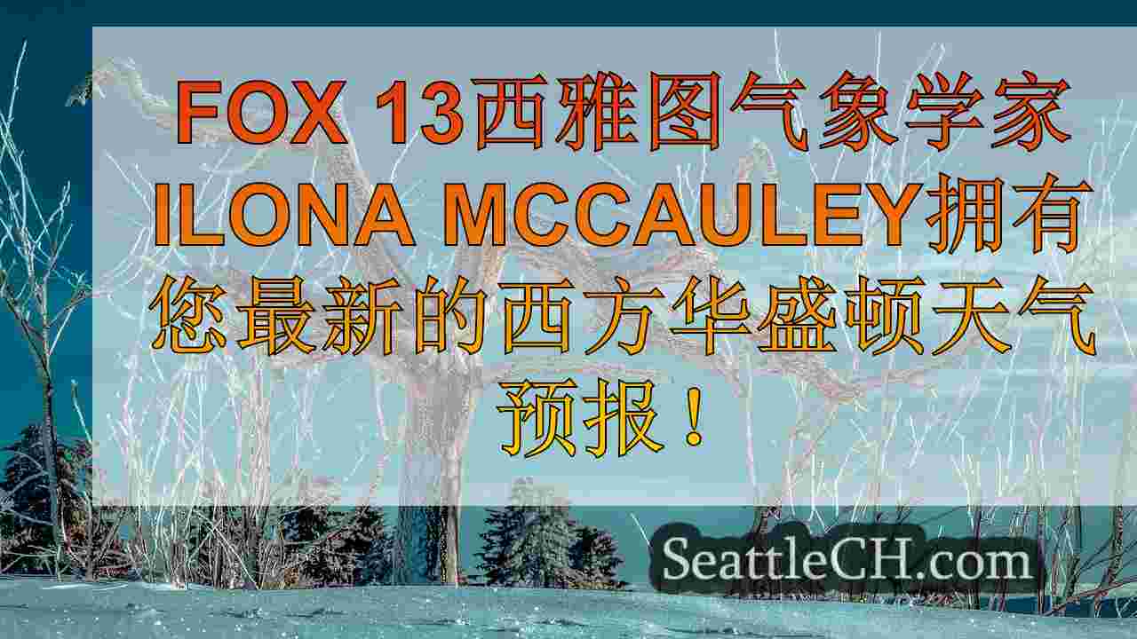 西雅图新闻 SeattleCH