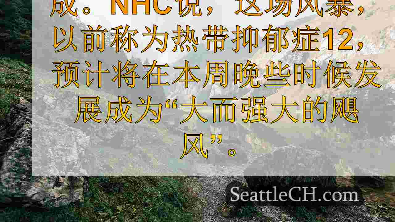 西雅图新闻 SeattleCH