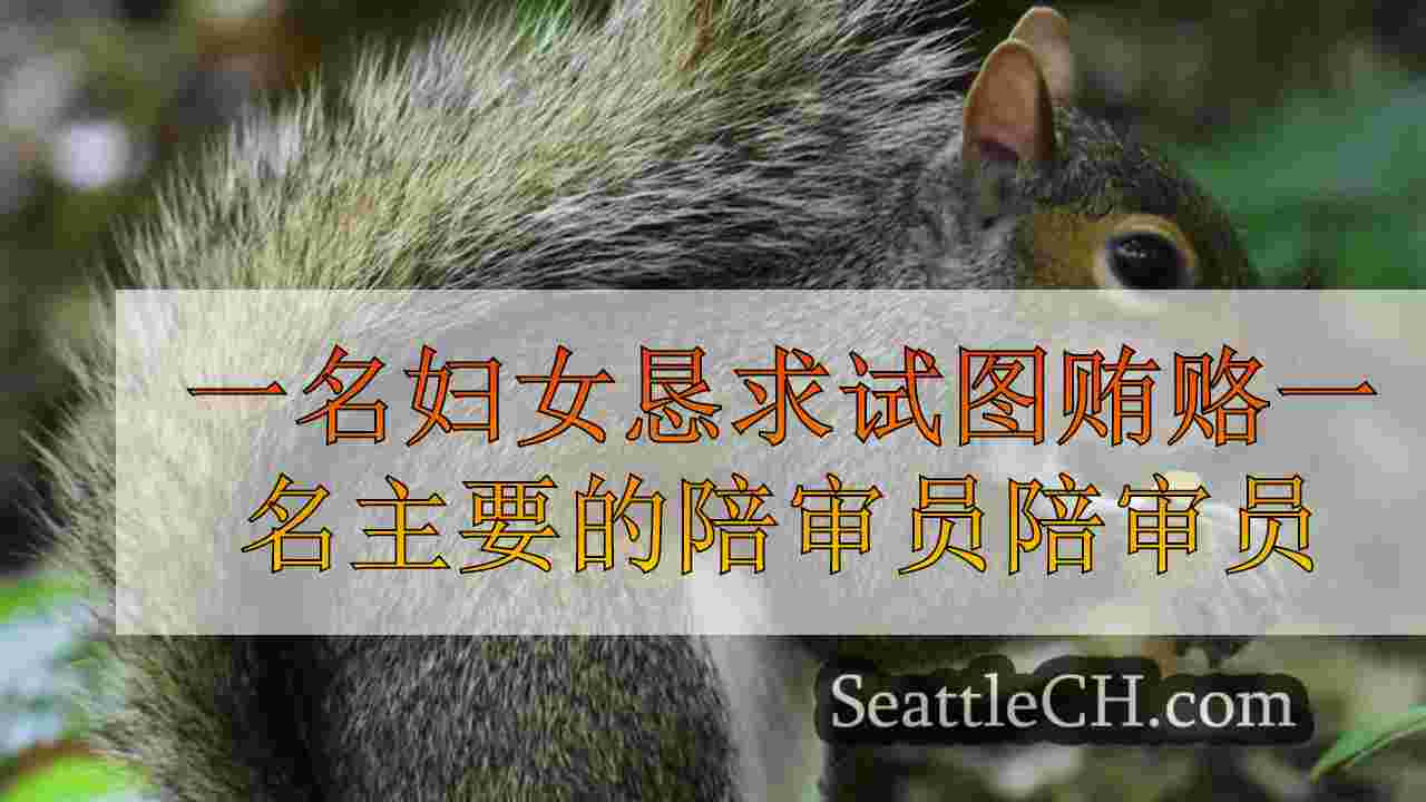 西雅图新闻 SeattleCH