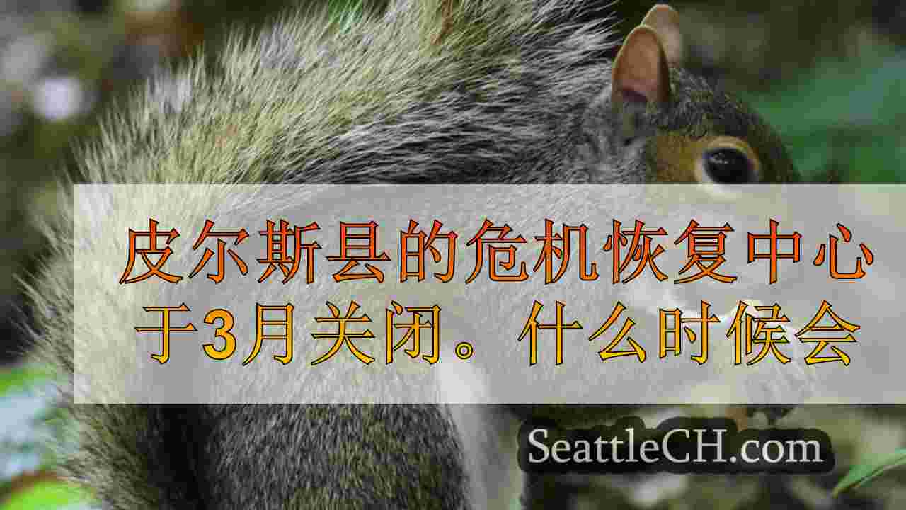 西雅图新闻 SeattleCH