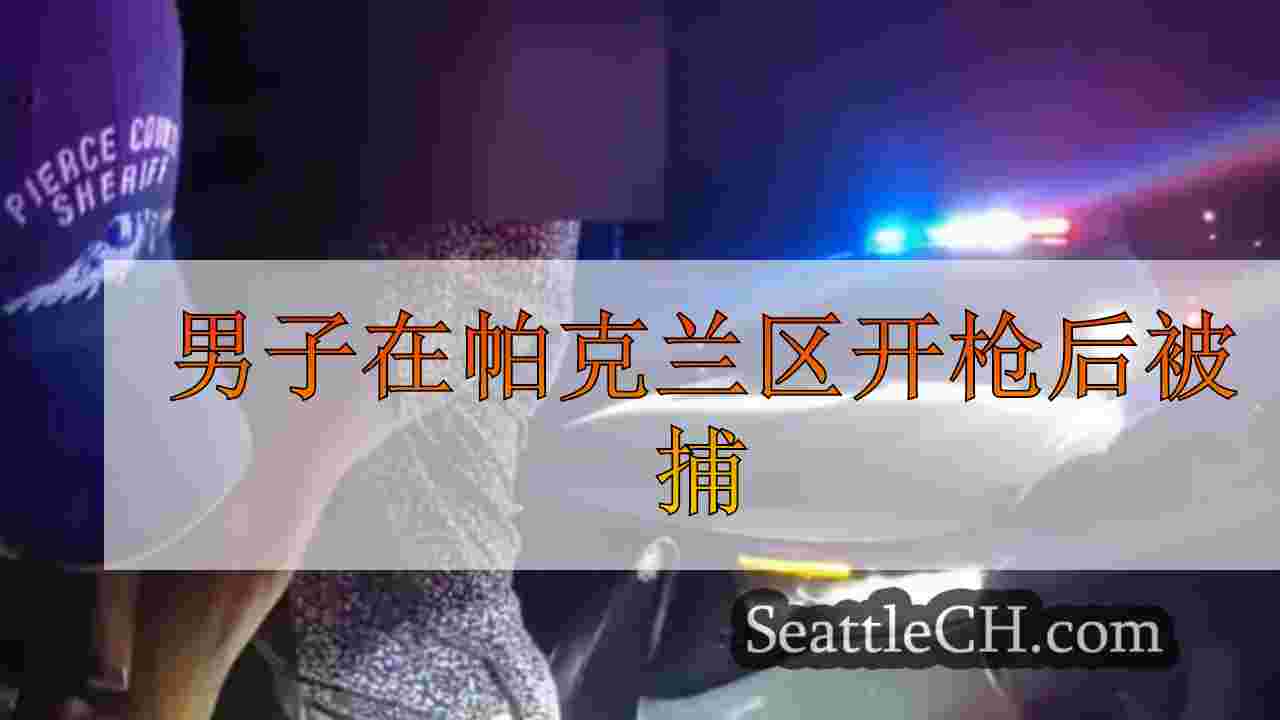 男子在帕克兰区开枪后被捕