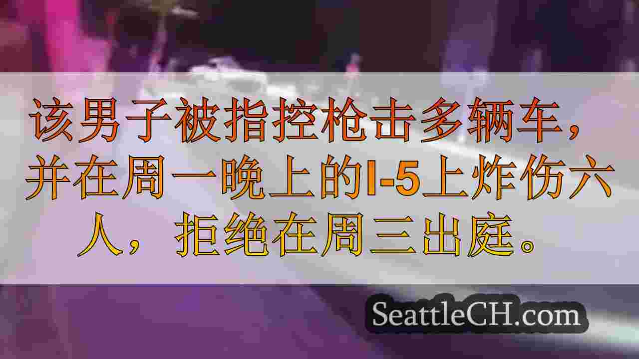 I-5大规模枪击嫌疑人以为“人们在狂欢之前”：Docs