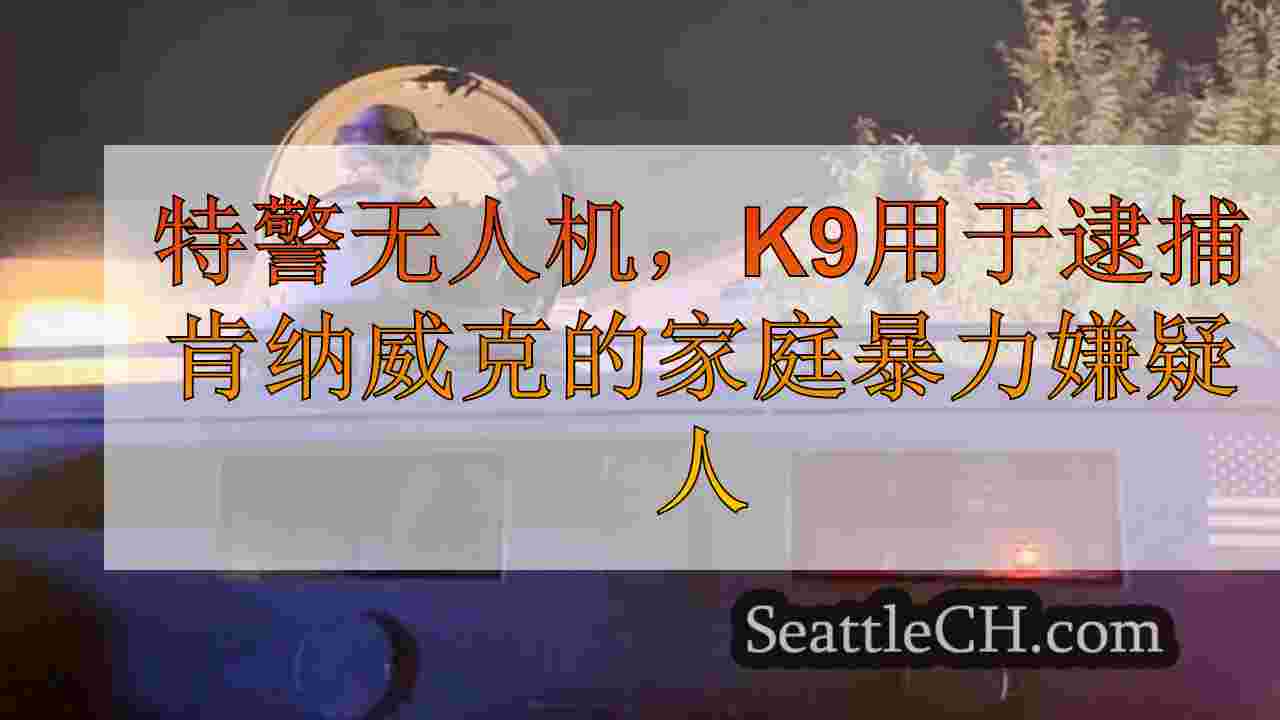 特警无人机，K9用于逮捕肯纳威克的家庭暴力嫌疑人