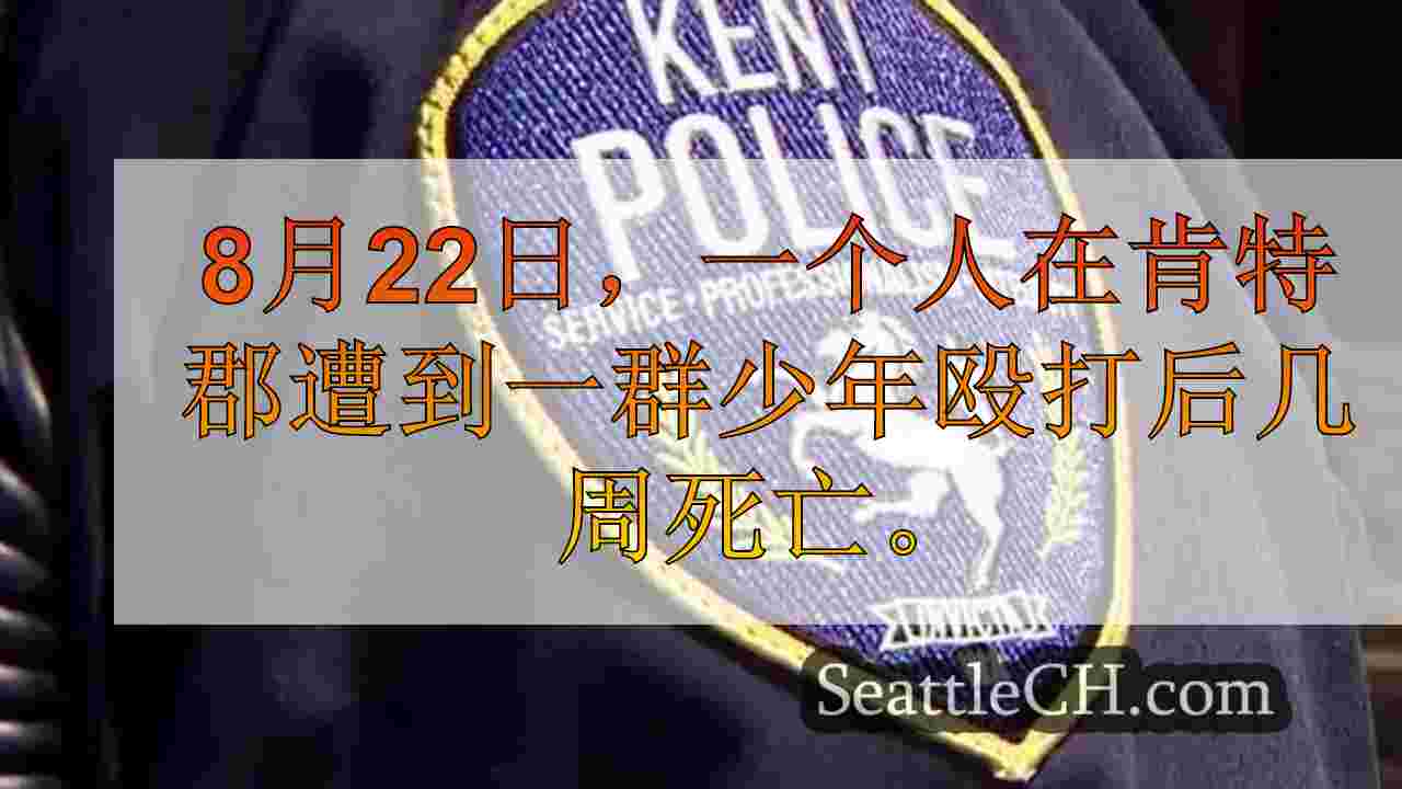西雅图新闻 SeattleCH