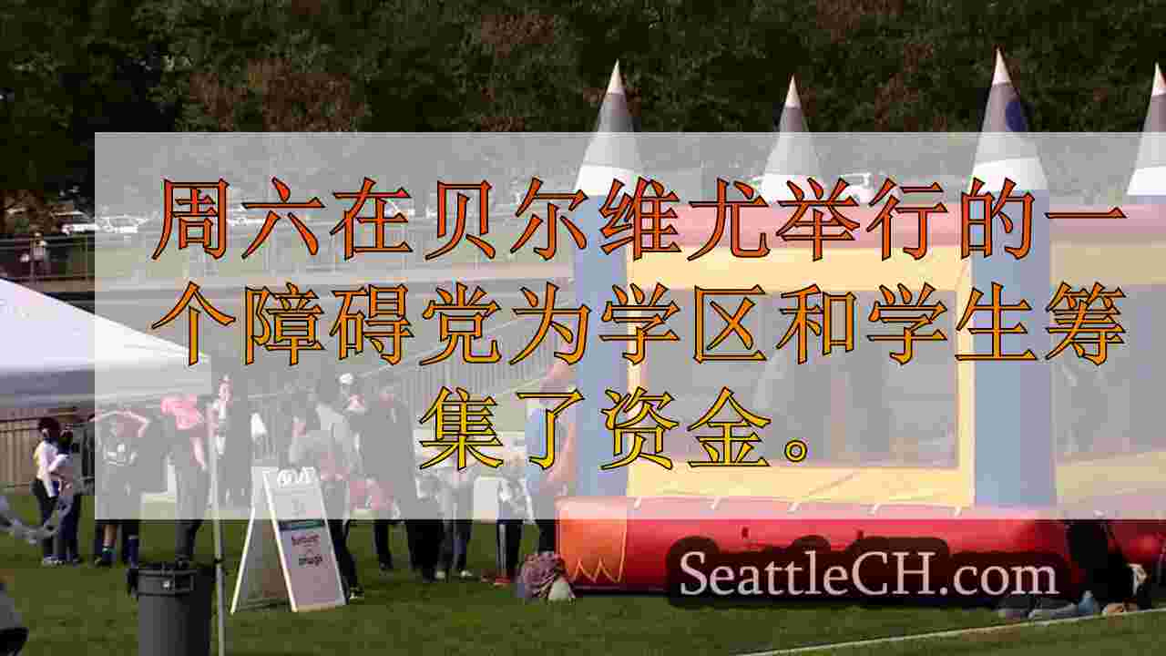 贝尔维尤学校基金会的旨在弥合资金差距