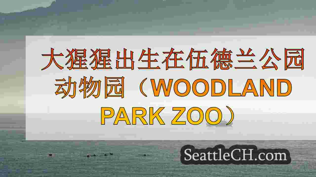 西雅图新闻 SeattleCH