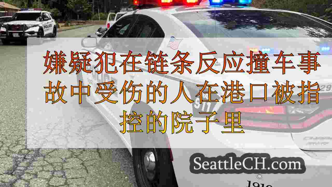 嫌疑犯在链条反应撞车事故中受伤的人在安吉利斯港被指控的院子里