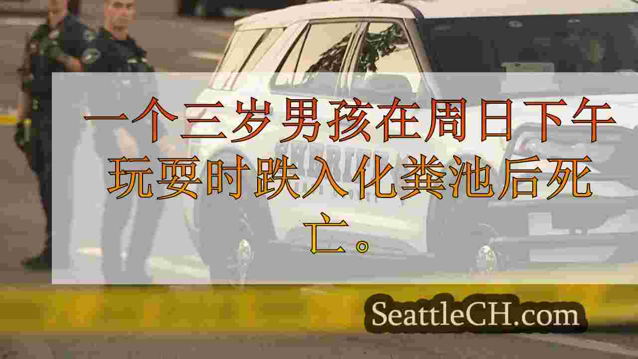 3岁男孩跌入化粪池后死亡