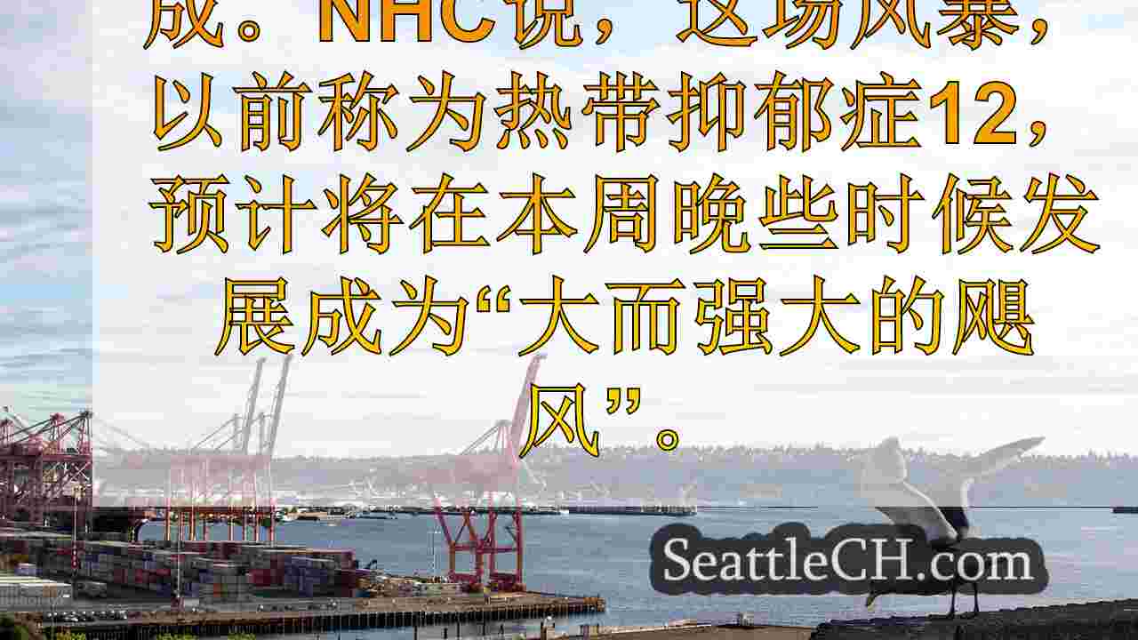 西雅图新闻 SeattleCH