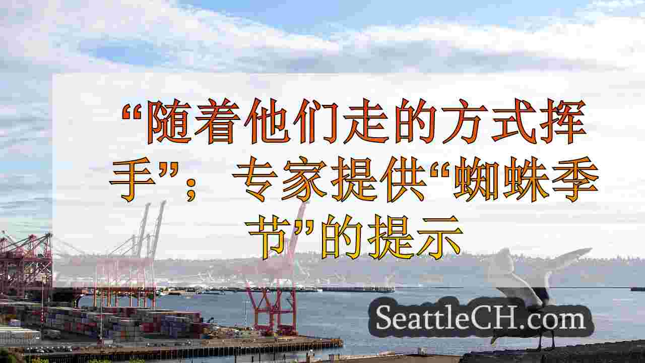 “随着他们走的方式挥手”；专家提供“蜘蛛季节”的提示