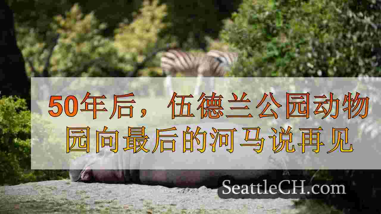 西雅图新闻 SeattleCH