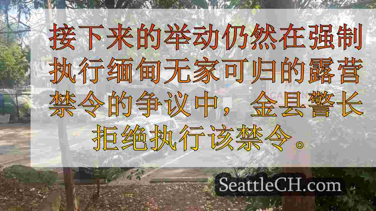 尽管联邦法院的裁决