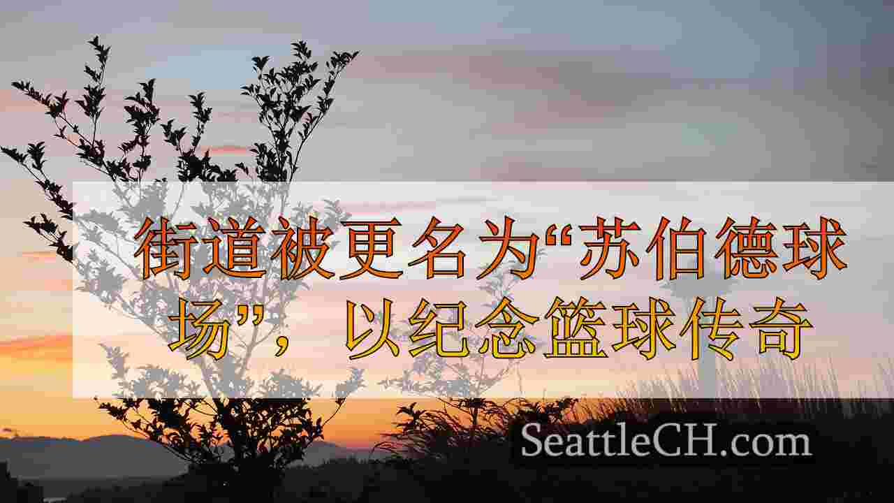 西雅图新闻 SeattleCH