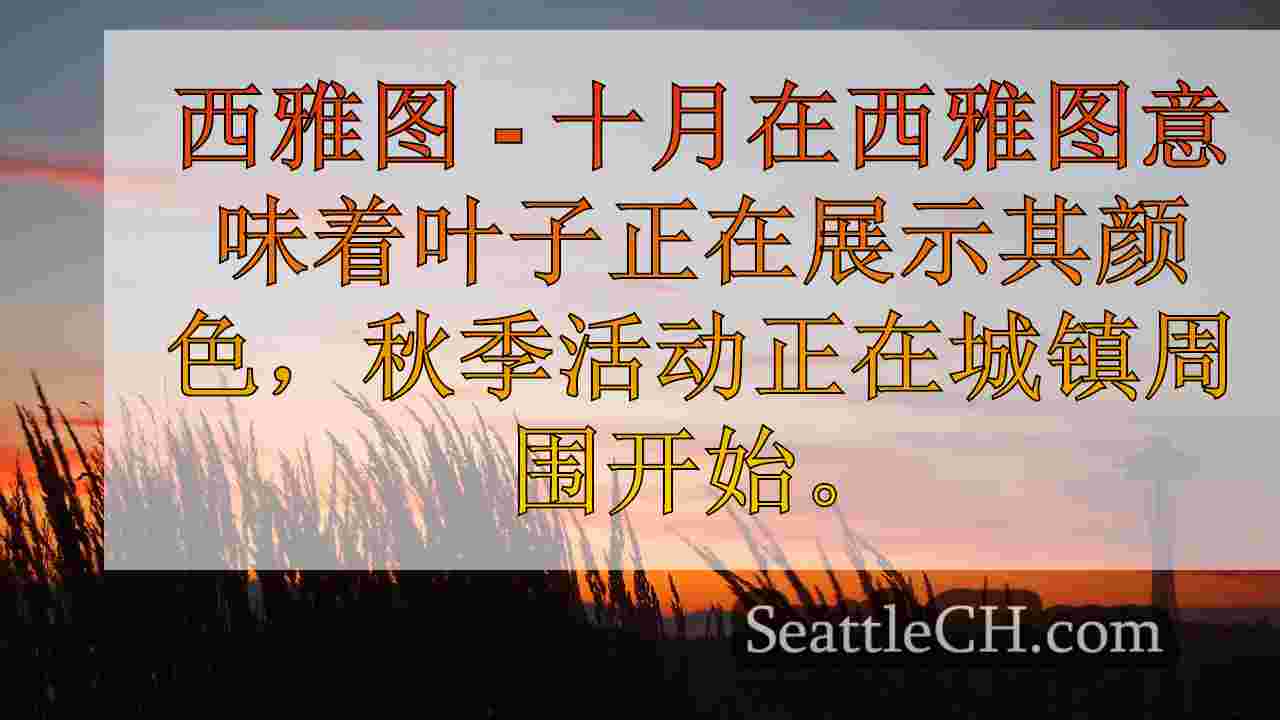 西雅图的伟大南瓜啤酒节星期五开始