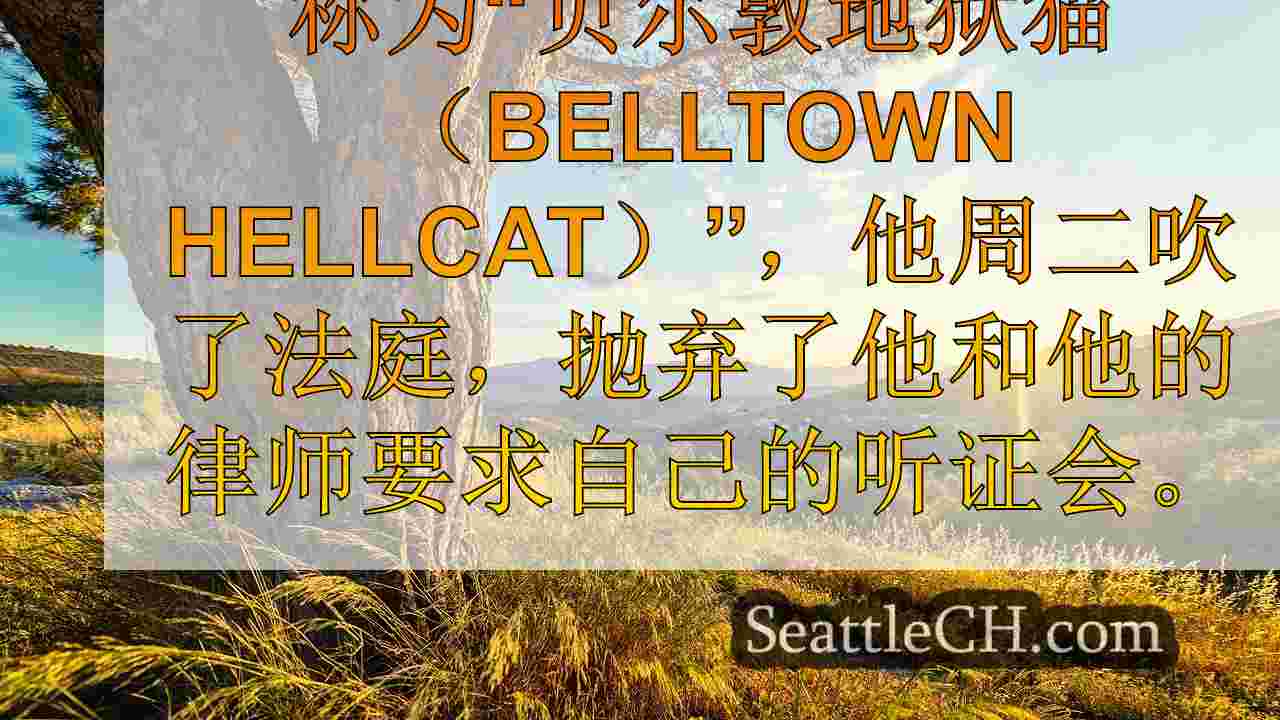 西雅图新闻 SeattleCH