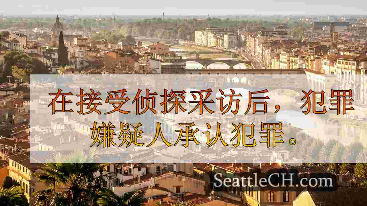 西雅图新闻 SeattleCH