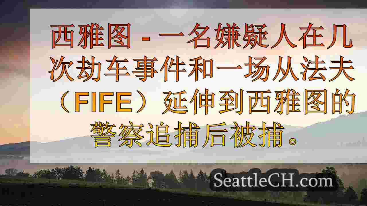 警方：嫌疑人在法夫（Fife）的一连串劫车中被捕