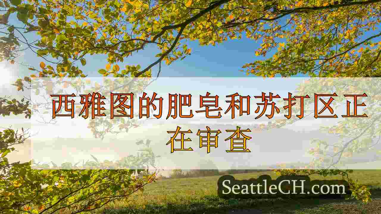 西雅图的肥皂和苏打区正在审查