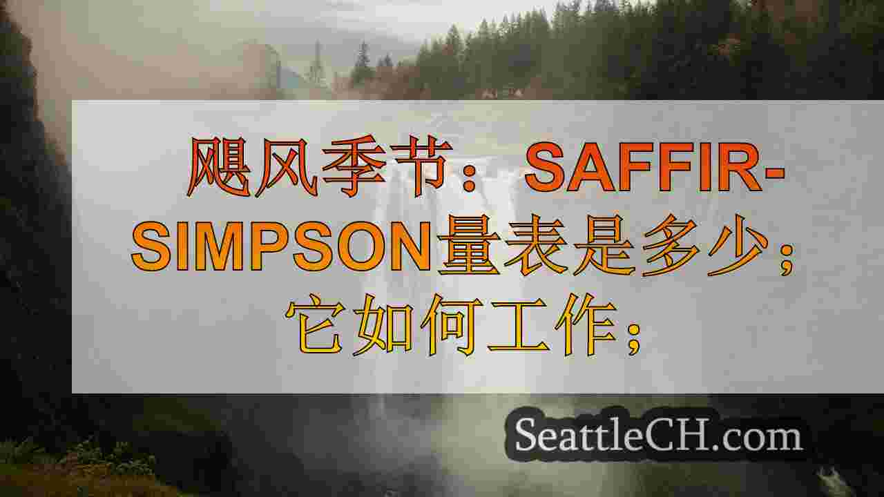 西雅图新闻 SeattleCH