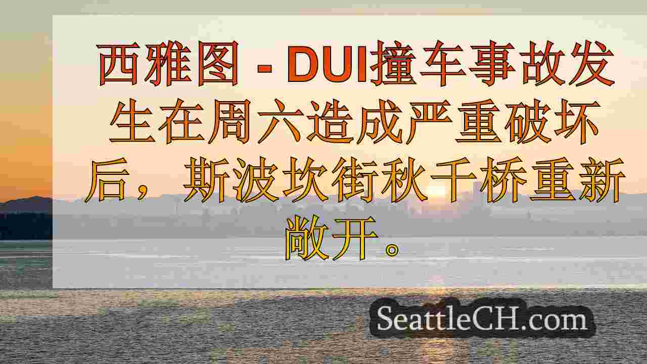 西雅图新闻 SeattleCH