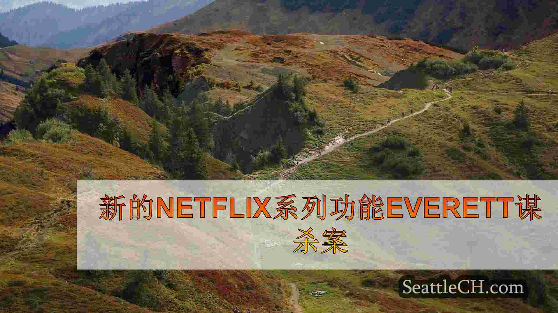 新的Netflix系列功能Everett谋杀案