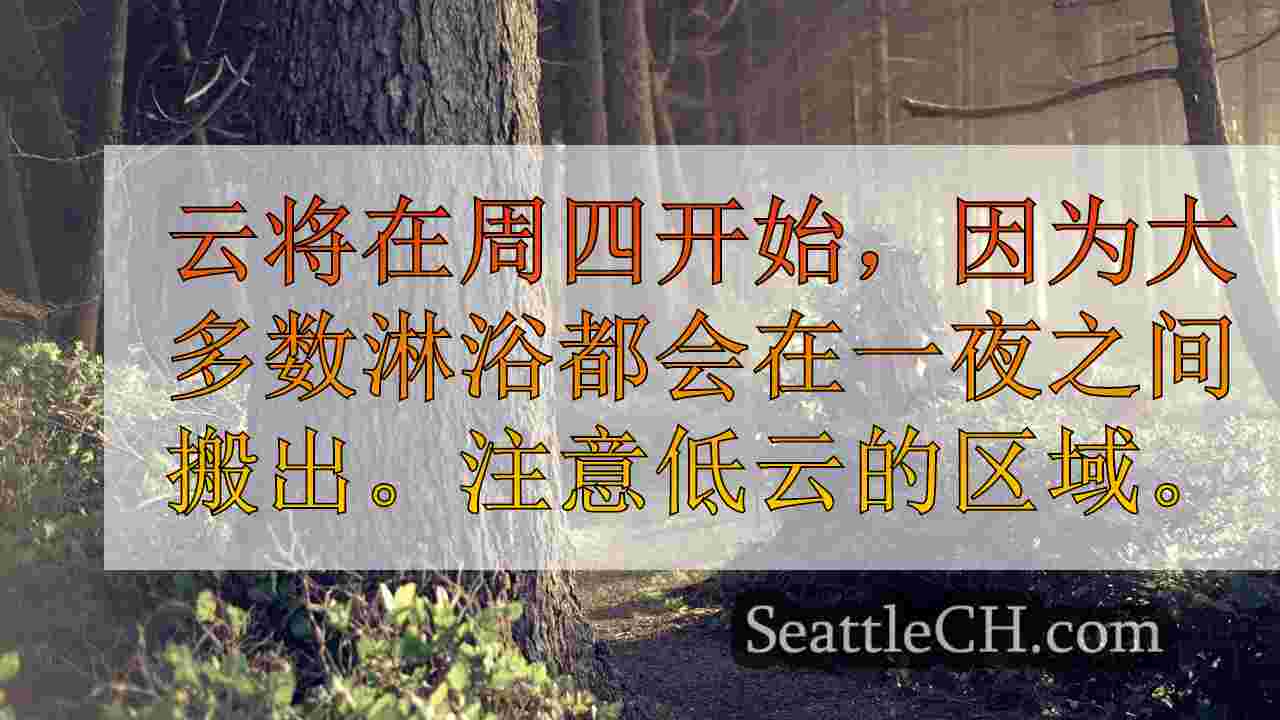 西雅图新闻 SeattleCH