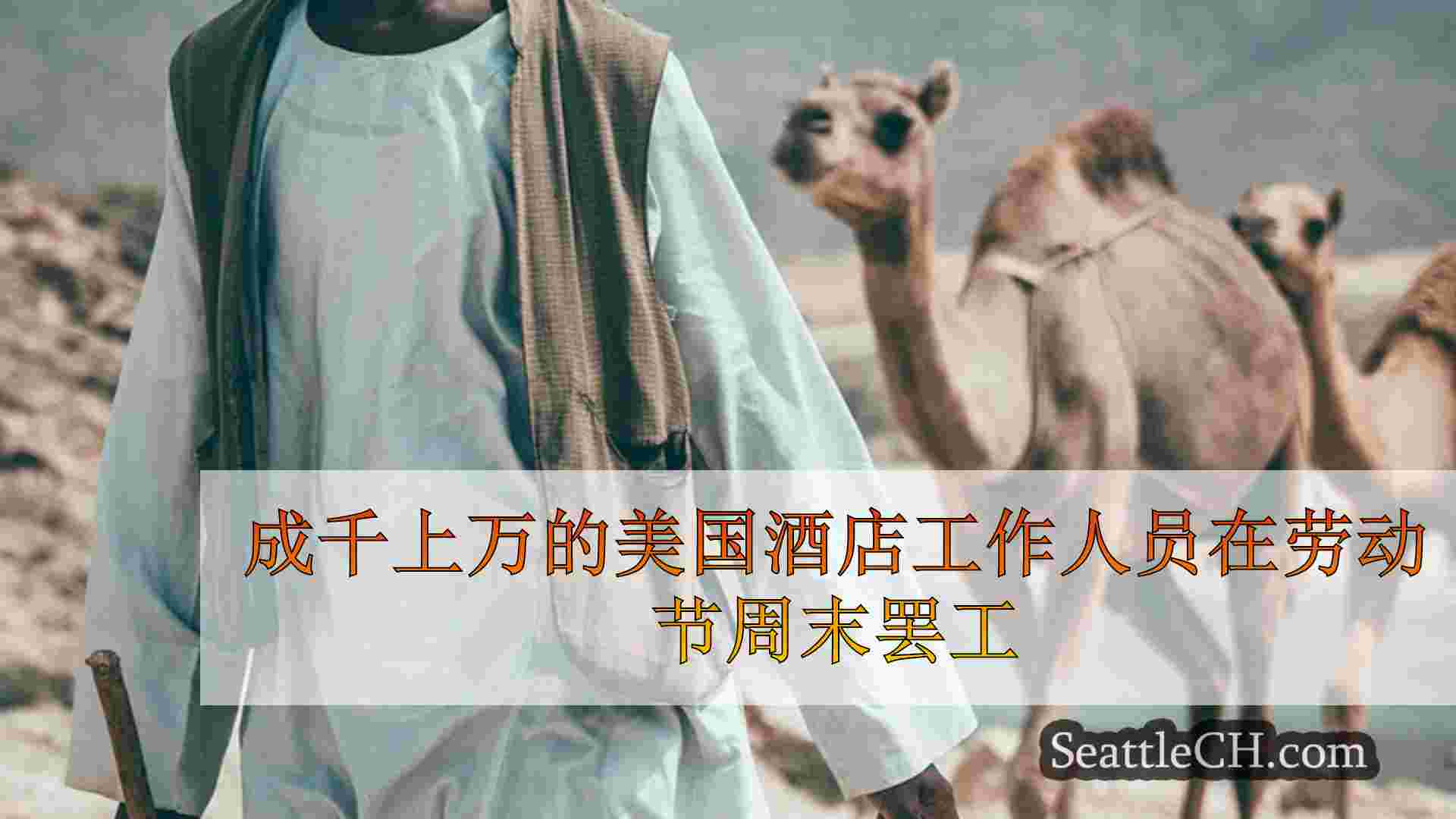 西雅图新闻 SeattleCH