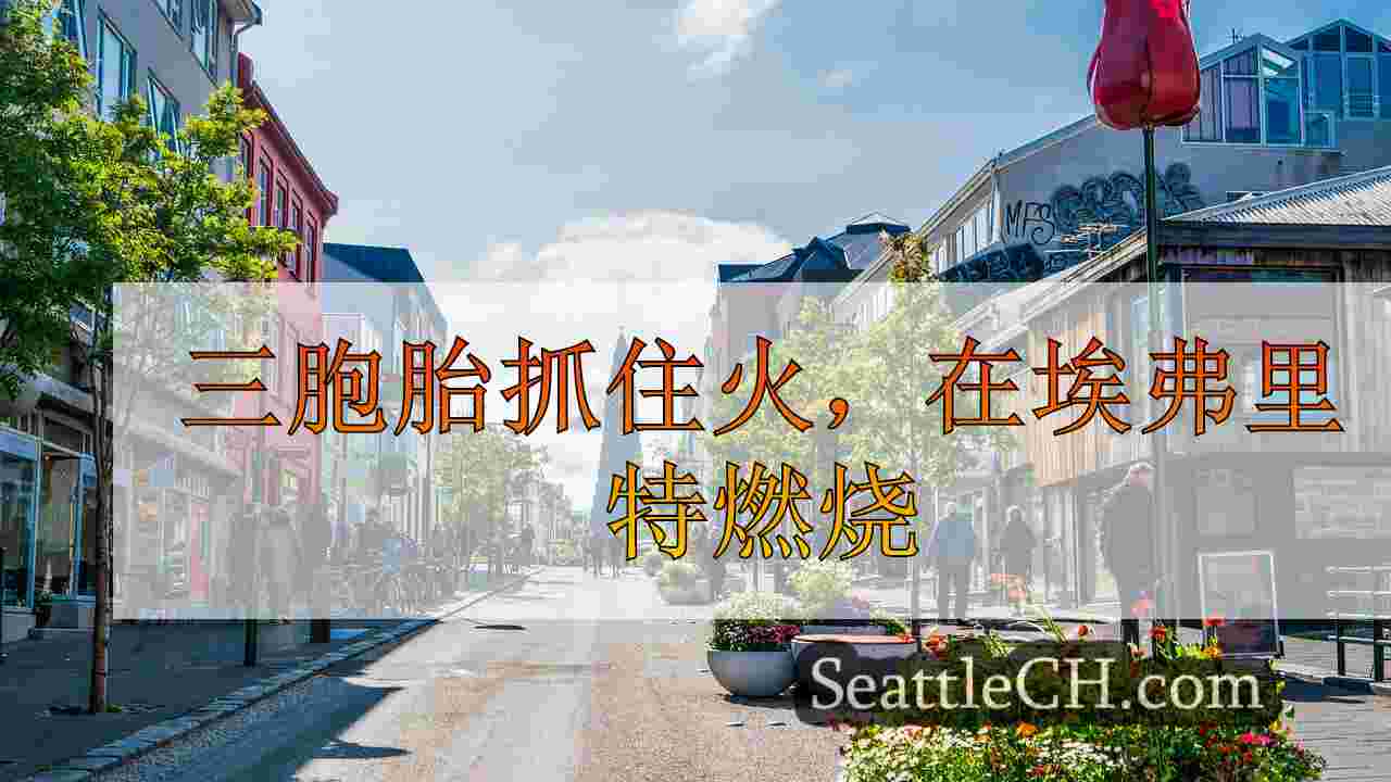 西雅图新闻 SeattleCH