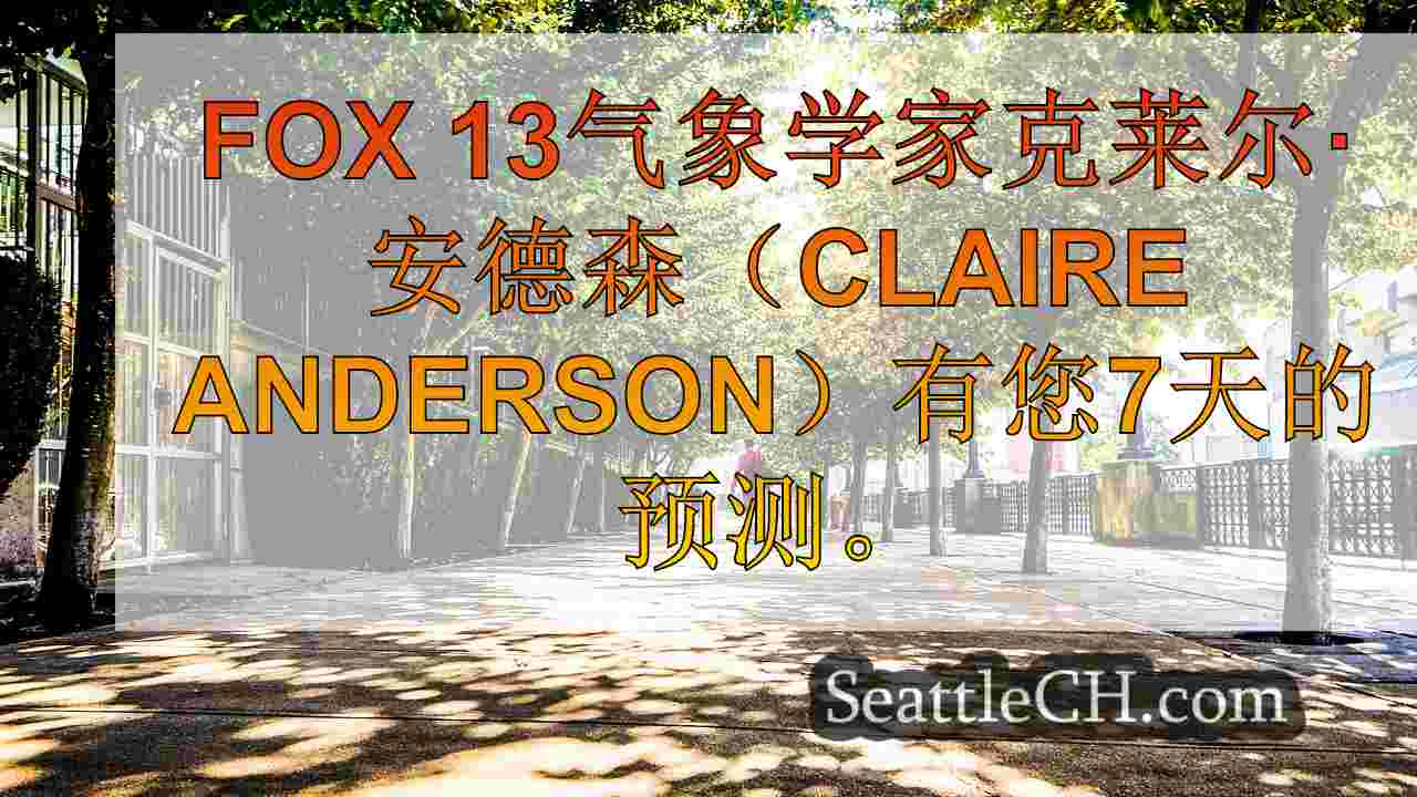 西雅图新闻 SeattleCH