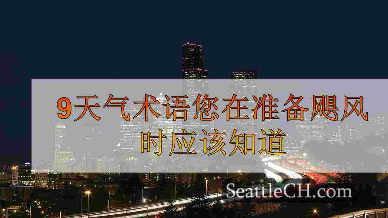 西雅图新闻 SeattleCH