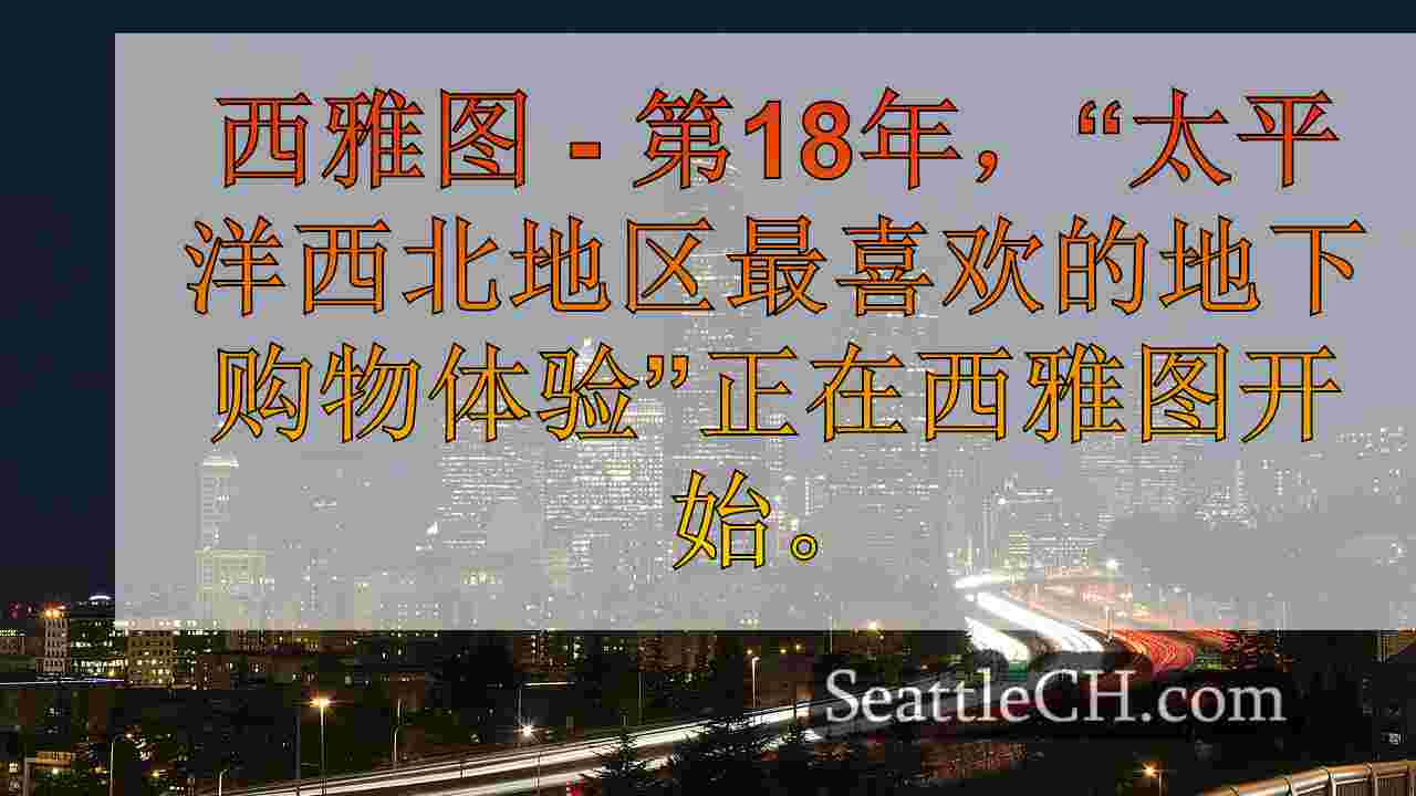 朋克摇滚跳蚤市场在西雅图开始