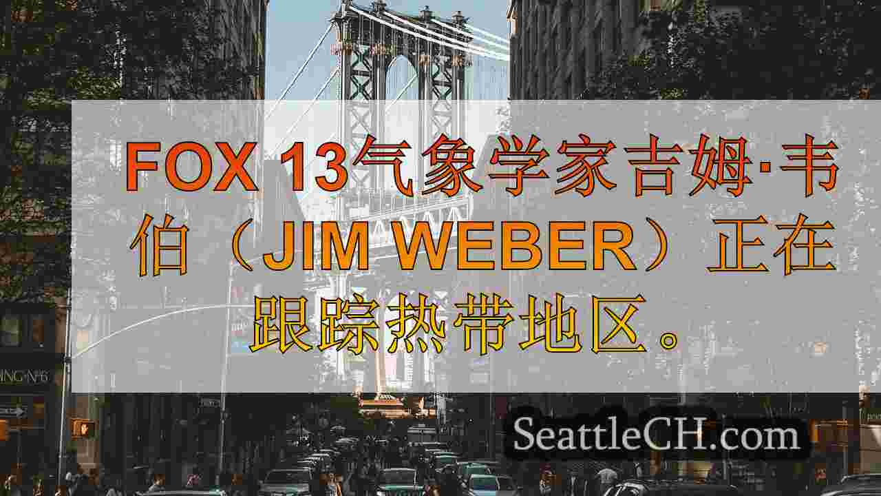 西雅图新闻 SeattleCH