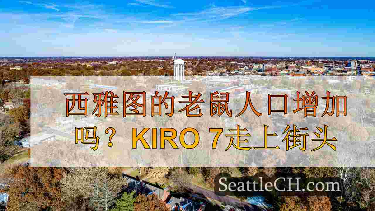 西雅图新闻 SeattleCH