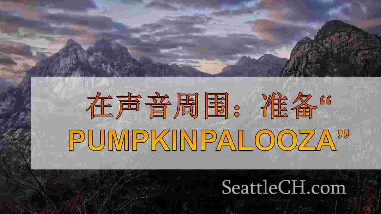 西雅图新闻 SeattleCH