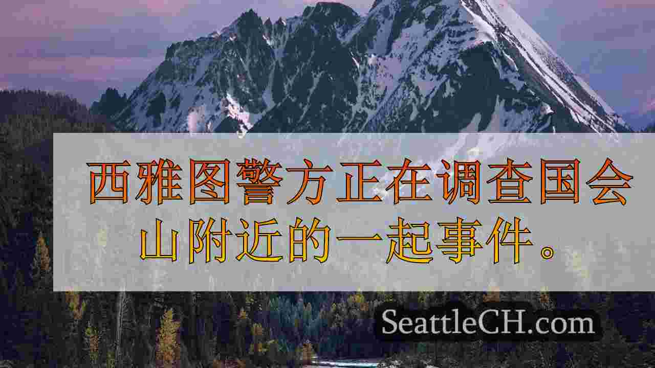 纵火，刺伤1受伤在西雅图的国会大厦山