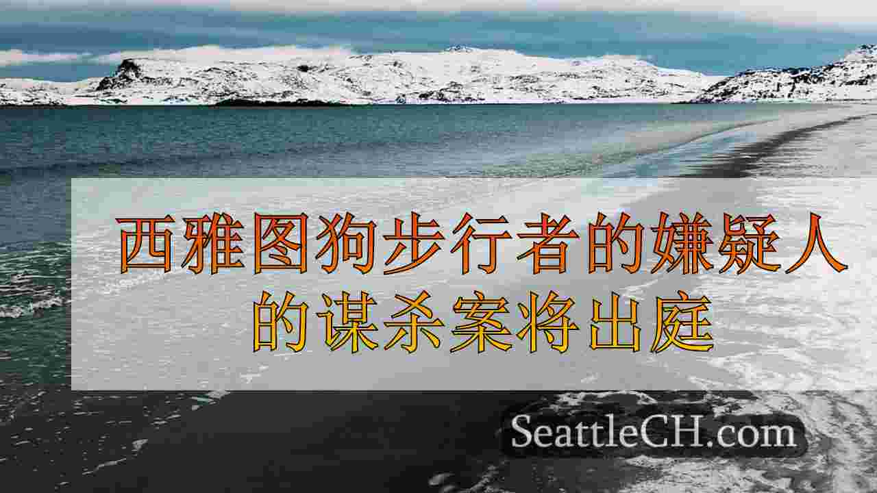 西雅图新闻 SeattleCH