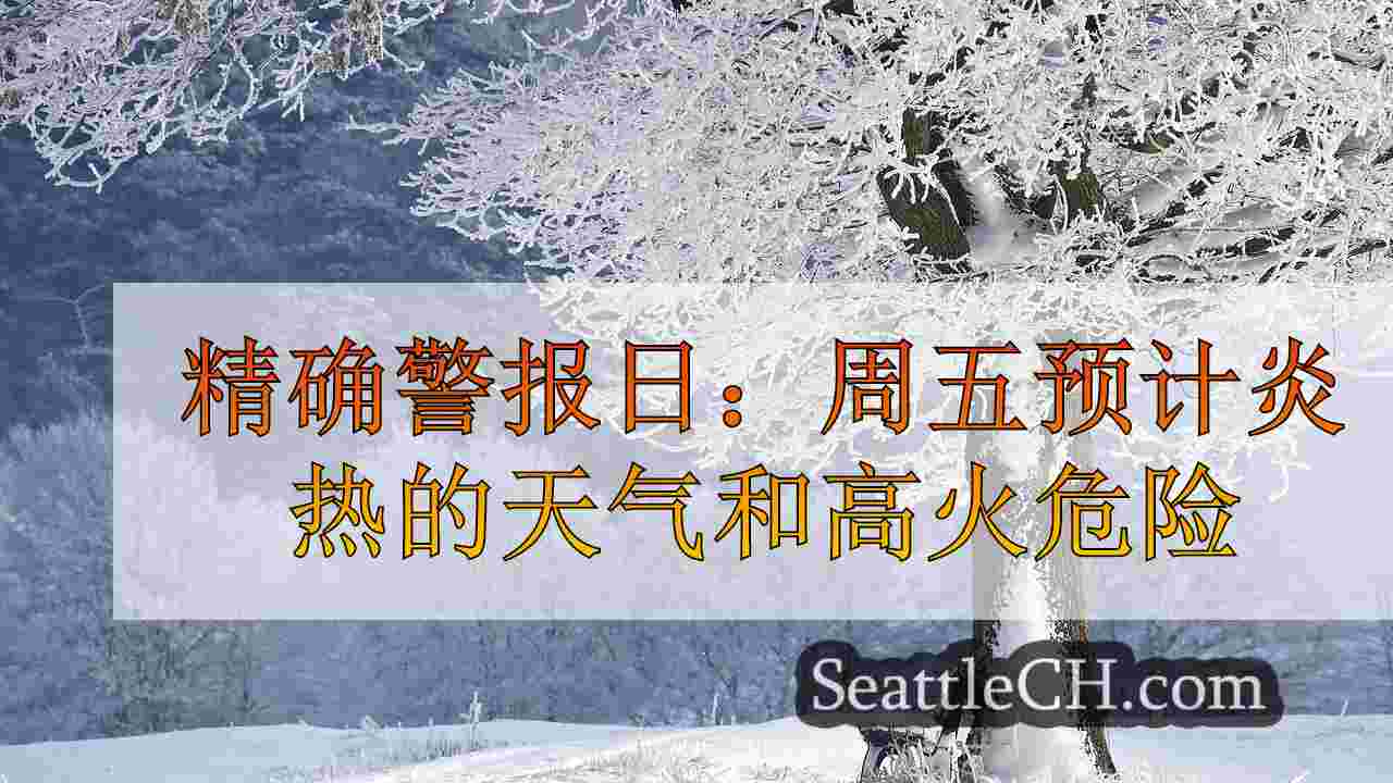 精确警报日：周五预计炎热的天气和高火危险