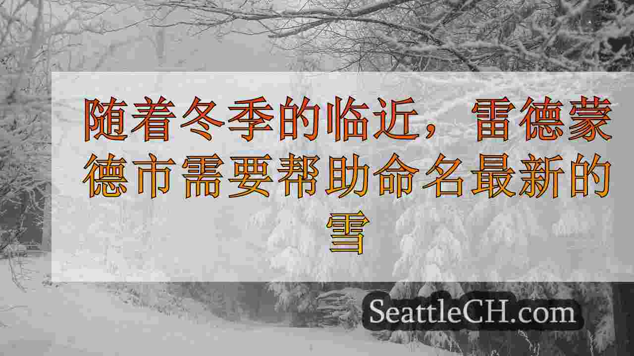 西雅图新闻 SeattleCH