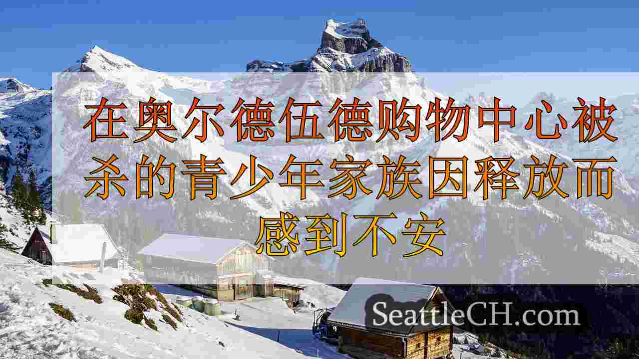 西雅图新闻 SeattleCH