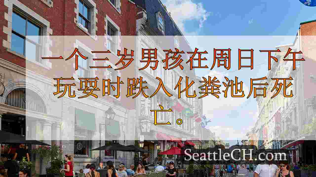 西雅图新闻 SeattleCH