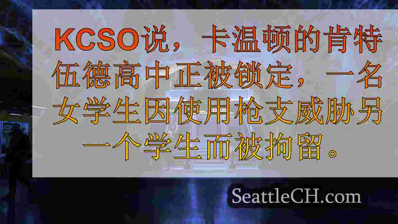 西雅图新闻 SeattleCH