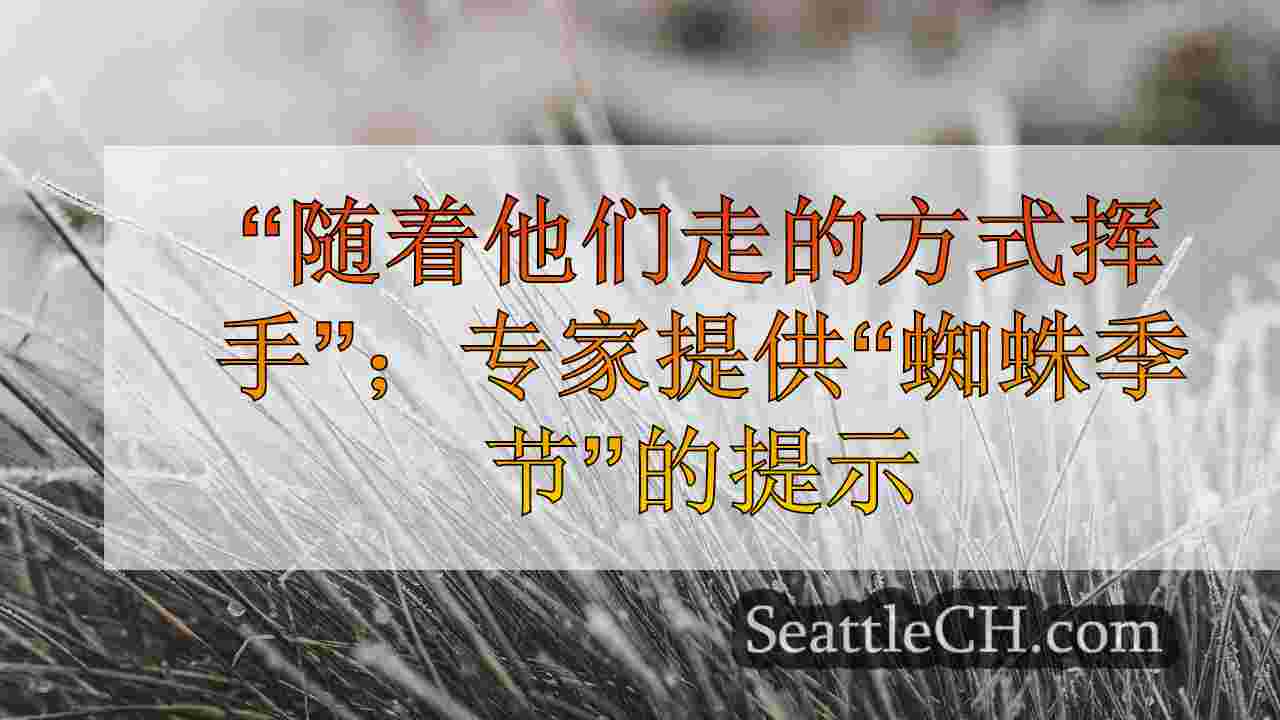 西雅图新闻 SeattleCH