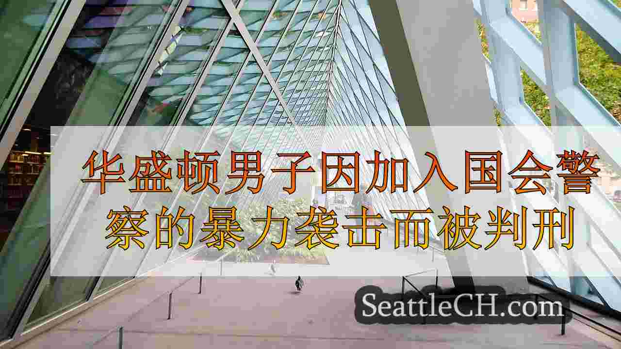 西雅图新闻 SeattleCH