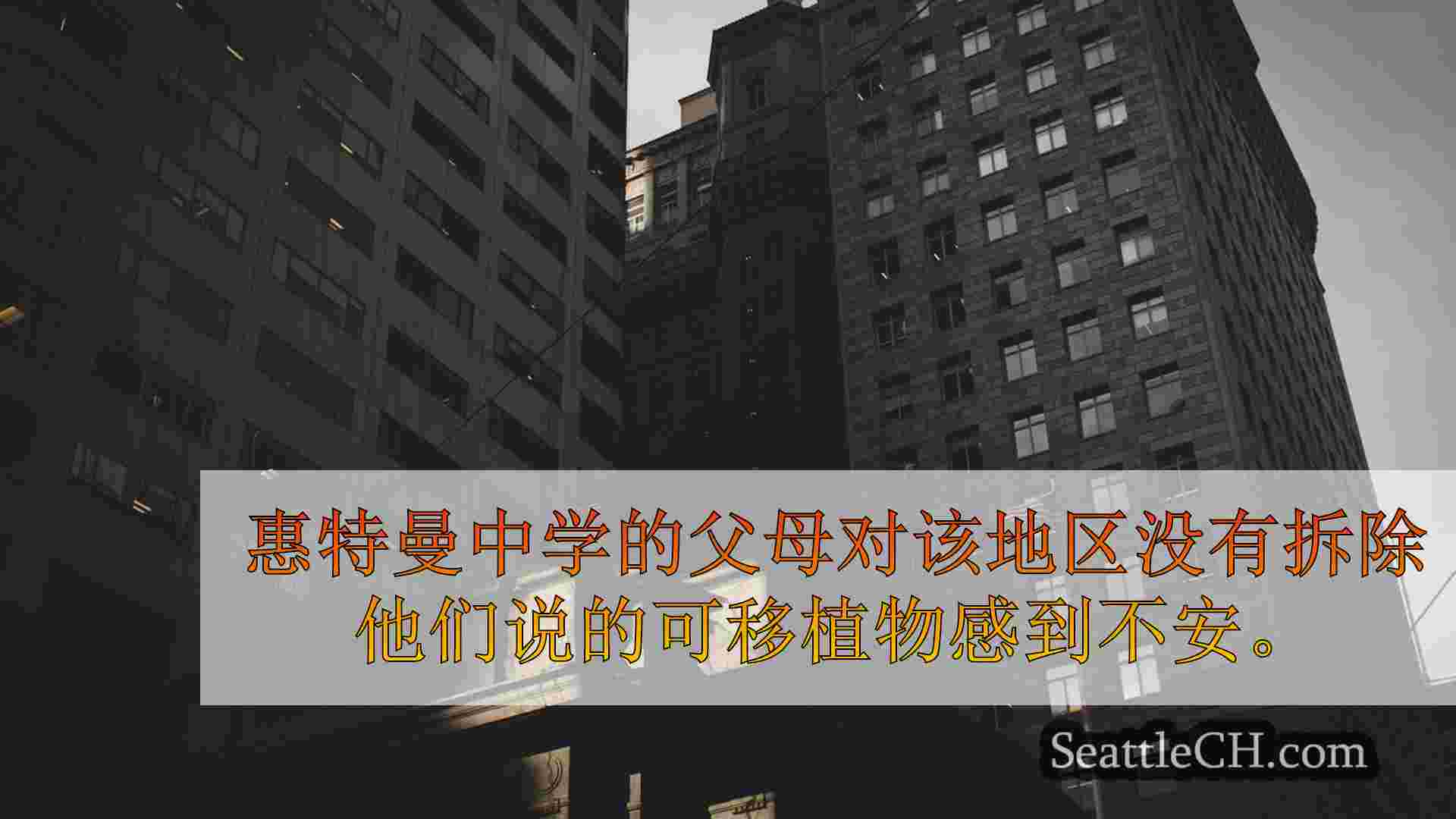 西雅图新闻 SeattleCH