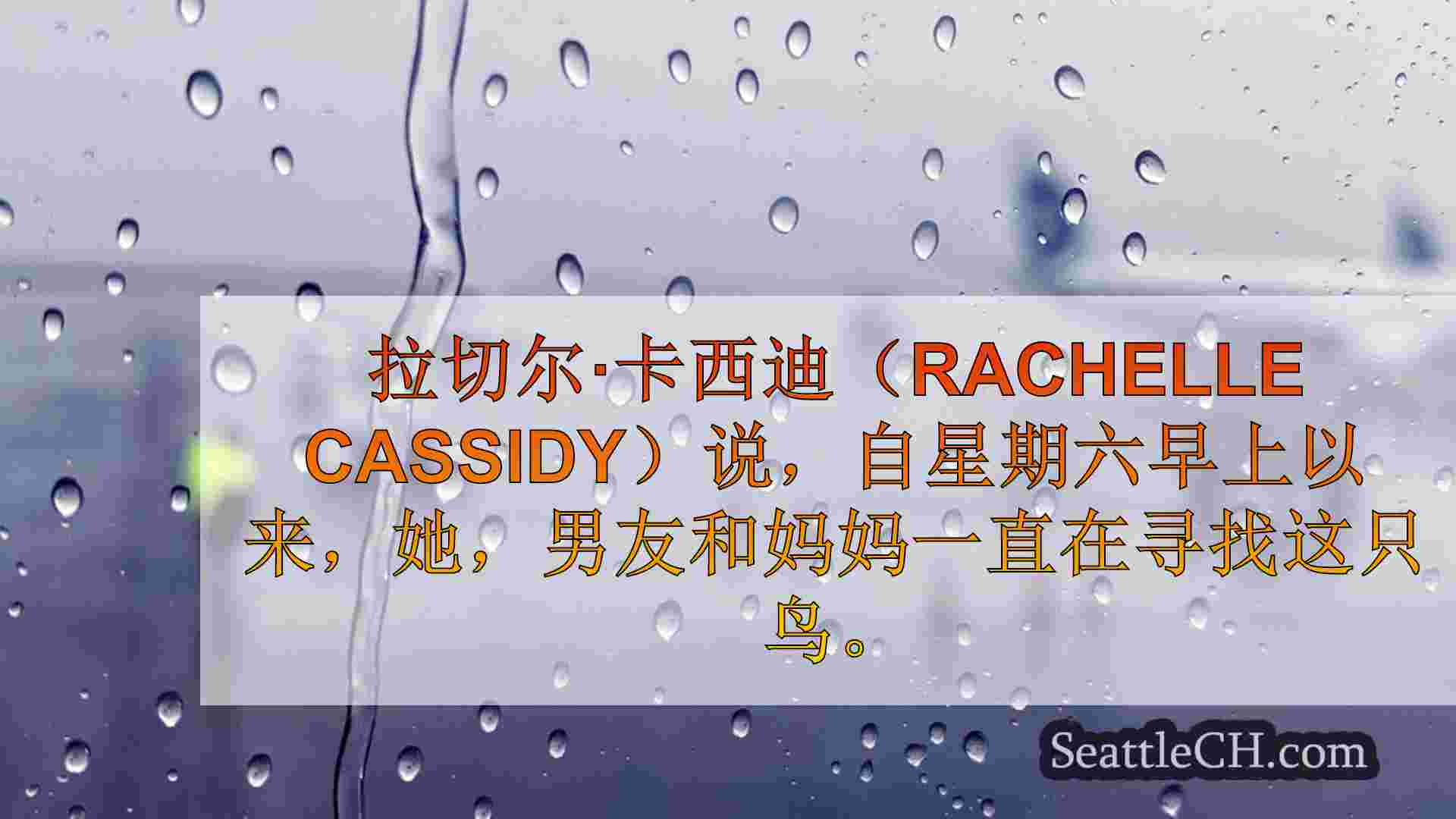 西雅图新闻 SeattleCH