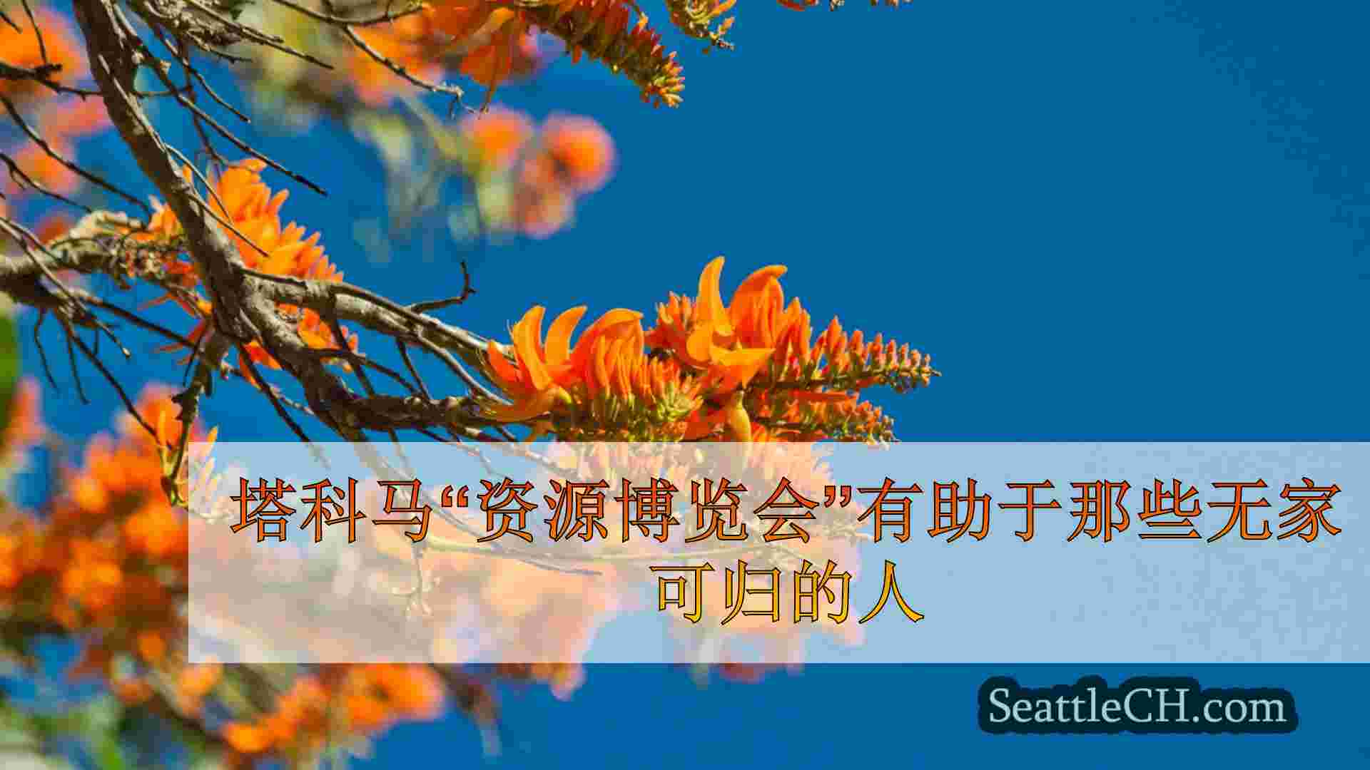 西雅图新闻 SeattleCH
